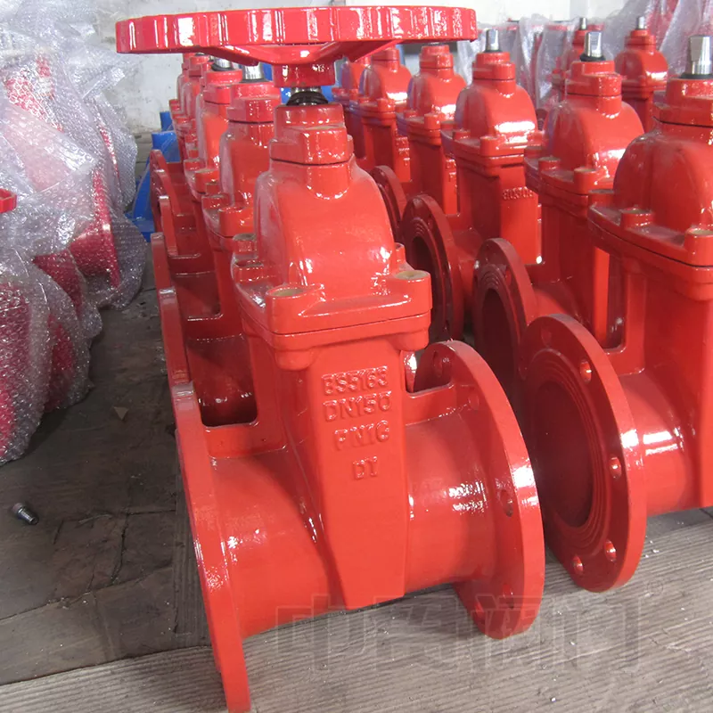 BS5163 Standard Resilient Gate Gate Valve